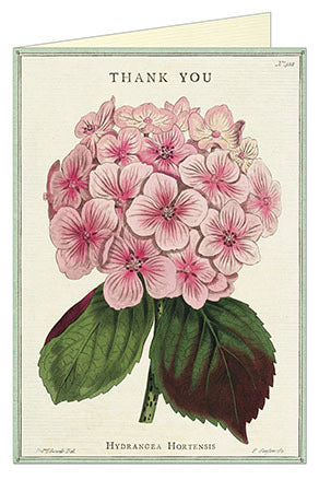Cavallini & Co. Hydrangea Blank Single Thank You Card