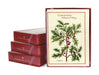 Cavallini & Co. Christmas Holly Boxed Notecards- box of 10 cards and envelopes