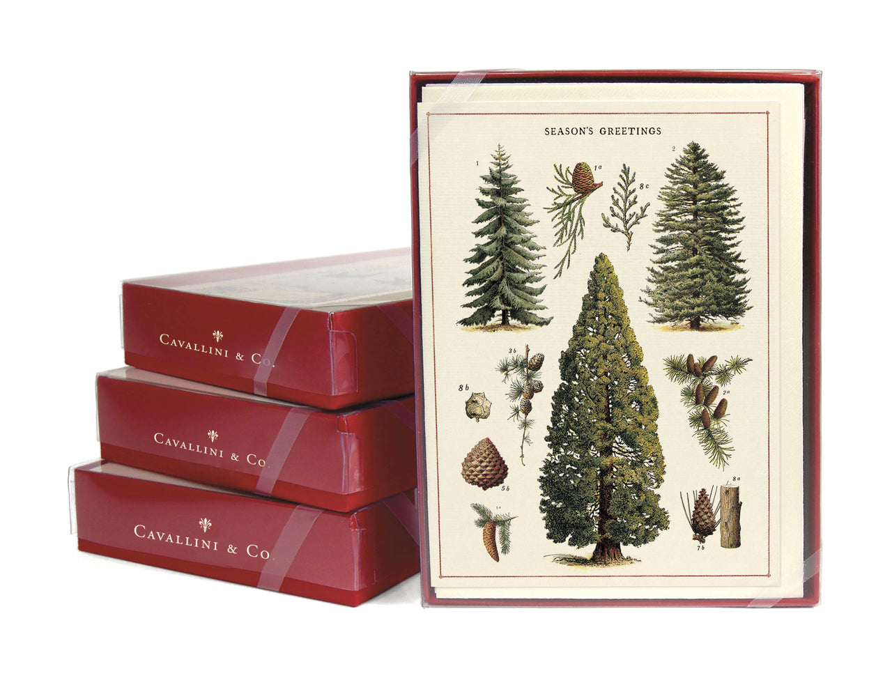 Cavallini & Co. Christmas Trees Holiday  Boxed Cards