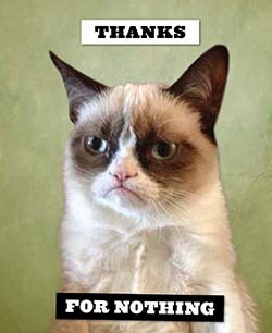 grumpy cat card sleeves Grumpy Cat Notecards — Two Hands Paperie