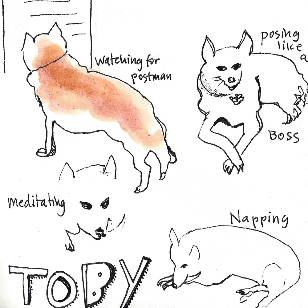 Drawing – A Path to Daily Meditation Online Class sample- "Toby" dog sketches.