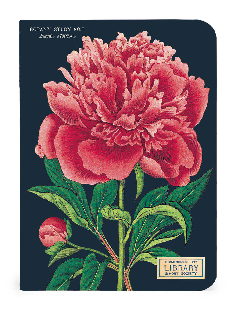 Cavallini & Co. Botany Mini Notebook Set