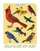 The Cavallini & Co. Bird Watching Mini Notebook Set is a new design for 2022.