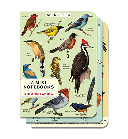 PLUS 77858 Limited Edition Birds and Beasts Play Painting Ca.Crea A4 x 1/9  Size Double Ring ToDo Notebook Pocket Notebook