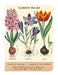 The spines are marked with different titles- "Potting Shed", "Garden Bulbs", and "Flower Garden". 