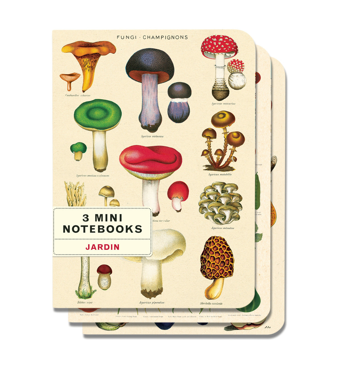 This mini notebook set of three high quality notebooks features bright and colorful reproductions of vintage botanical images to motivate any gardener to get outdoors!