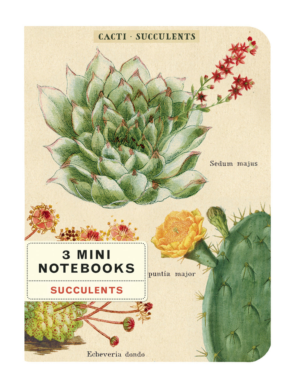 succulent notebook Cavallini & Co. Succulents Mini Notebook Set