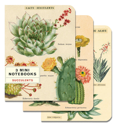 Cavallini & Co. Succulents Mini Notebook Set features three notebooks with vintage scientific images of succulents.