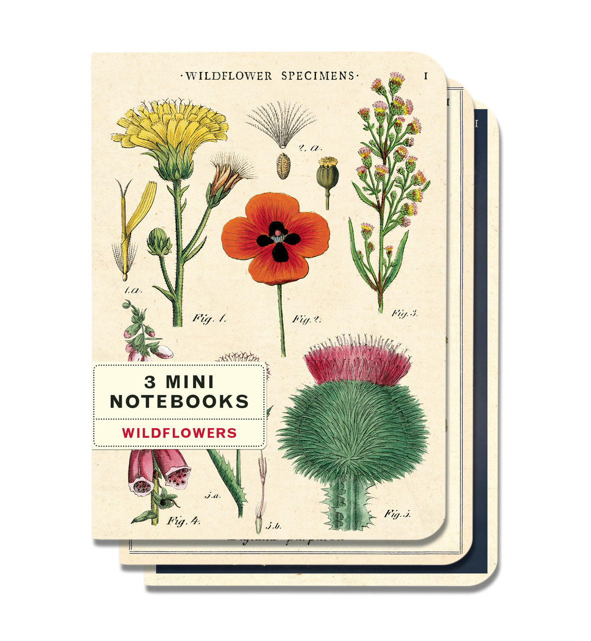 The Cavallini Wildflowers Mini Notebook Set is a new design for 2018. Set contains three notebooks with different botanical images on the covers. 
