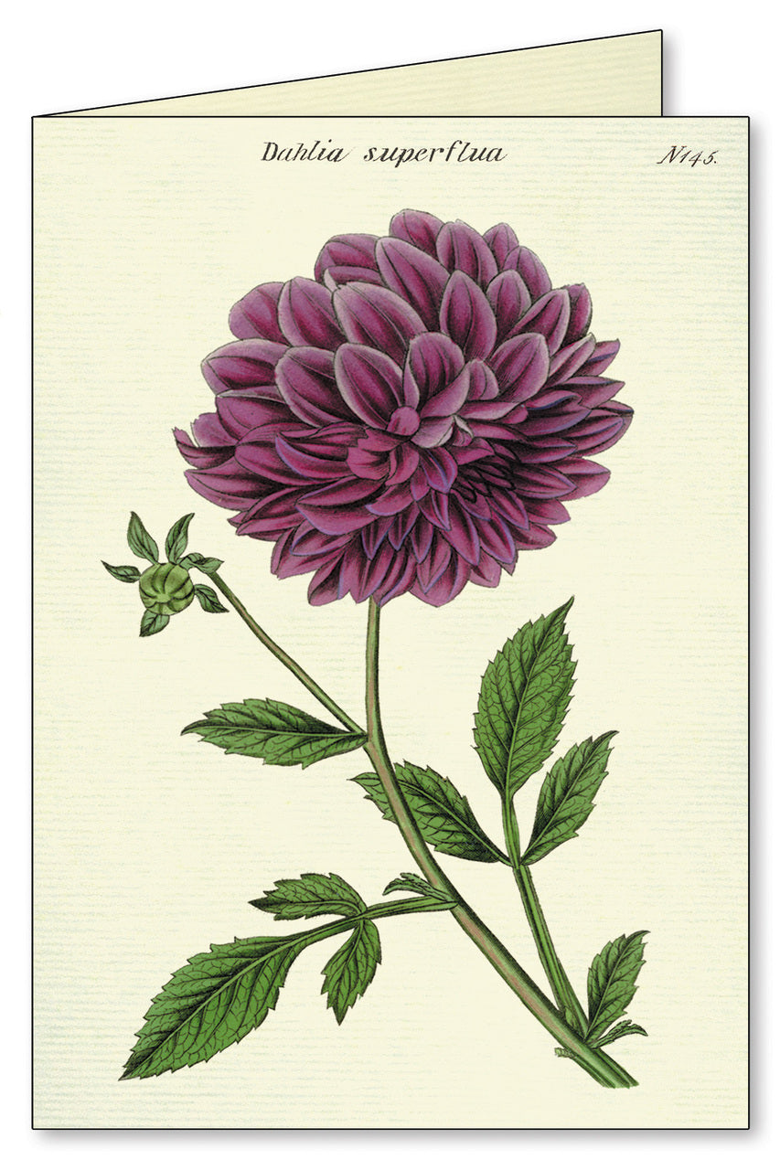 Cavallini & Co. Botanica Boxed Notecards