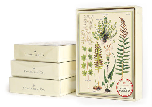 Cavallini & Co. Ferns Boxed Notecards