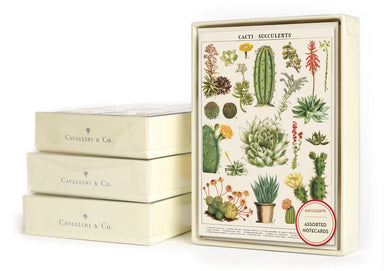 Cavallini & Co. Succulents Boxed Notecards
