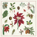 Cavallini & Co. Christmas Botanica Cotton Napkins- Set of 4