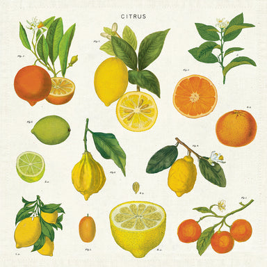 Cavallini & Co. Citrus Fruits Cotton Napkins- Set of 4