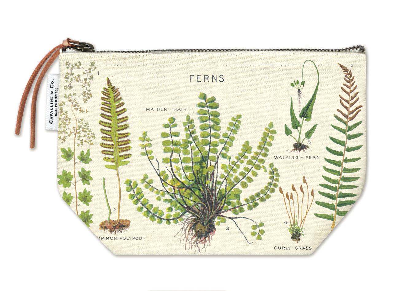 Cavallini & Co. Fern Vintage Pouch features vintage images from the Cavallini archives. 100% natural cotton bags are lined and have gusseted bottoms to stand on their own. 