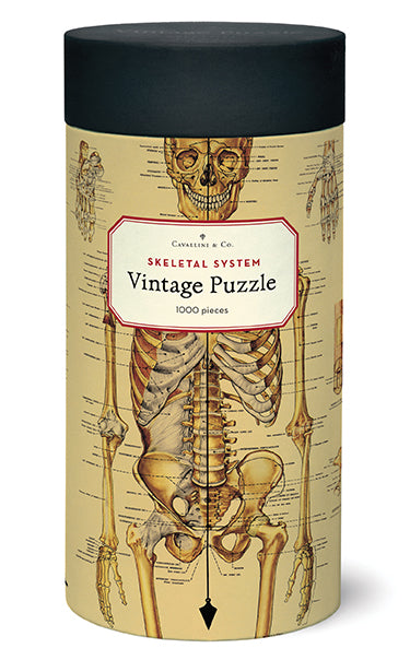 Cavallini's Skeleton puzzle features their Skeleton Decorative paper, a vintage chart of the human skeletal system, complete with scientific names of all bones!  