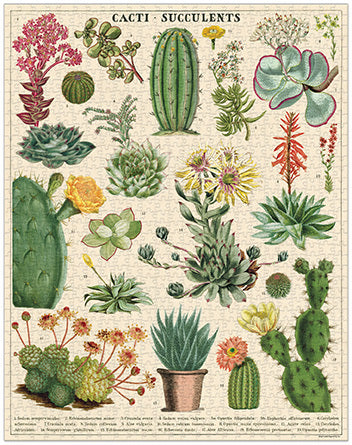 succulent plants puzzle Cavallini & Co. Succulents 1000 Piece Puzzle