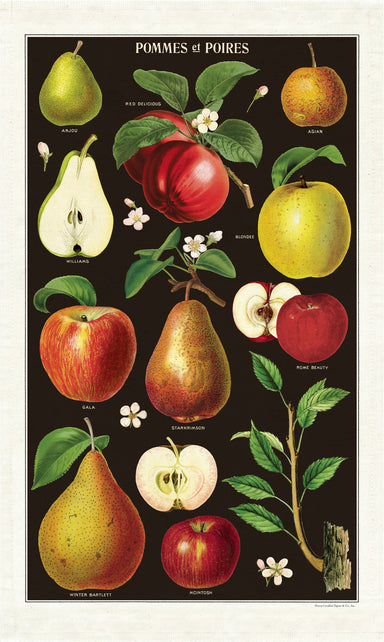 Apples and Pears tea towel has brightly colored fruits complimented by a rich, dark background. 
