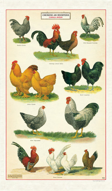 Bright, colorful, and fun!  Chickens and Roosters tea towel features common breeds, all posing for your enjoyment.