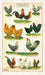 Bright, colorful, and fun!  Chickens and Roosters tea towel features common breeds, all posing for your enjoyment.