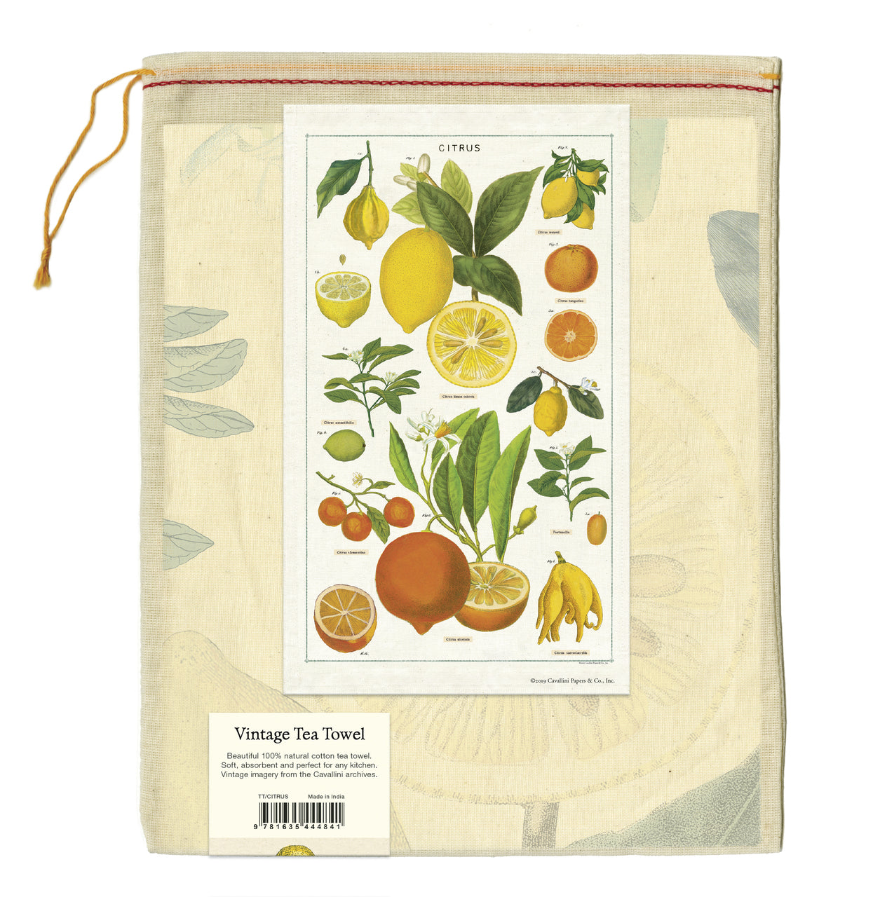 Cavallini & Co. natural cotton tea towels measure 19" x 31.75" (48cm x 80cm).

