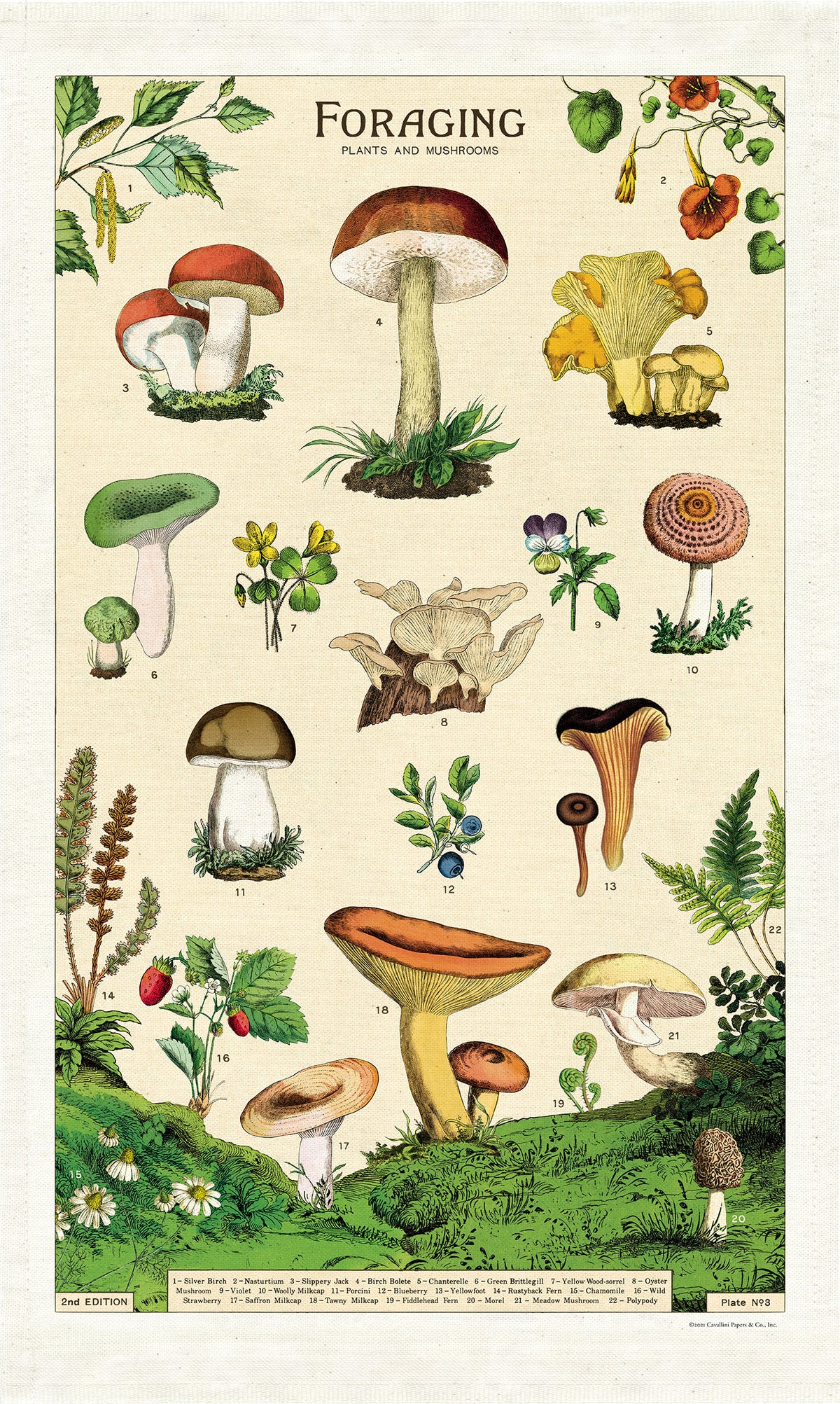 WILD MUSHROOMS FERN European Linen Dish Towels