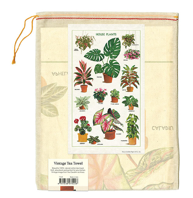 Cavallini & Co. natural cotton tea towels measure 19" x 31.75" (48cm x 80cm).