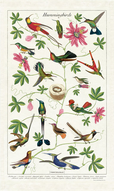 Cavallini & Co. Hummingbirds Cotton Tea Towel