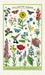 Cavallini & Co. Pollinator Garden Cotton Tea Towel