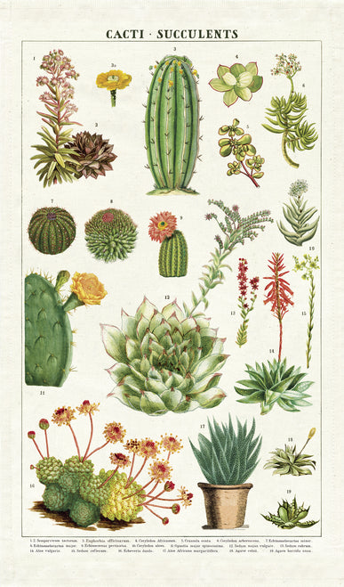 succulent dish towel Cavallini & Co. Succulents Cotton Tea Towel