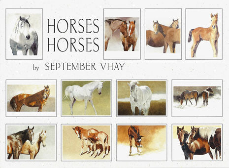 Crane Creek Graphics Horses Notecard Folio- set of 12 cards and envelopes