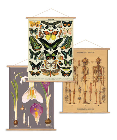 Cavallini & Co. Vertical Vintage Poster Kit allows you to hang any vertical Cavallini wrap as a wall decoration. 