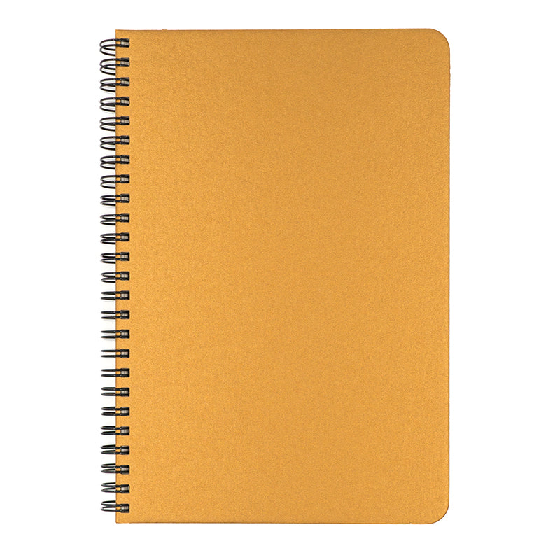 Make My Notebook Blank Slate Gold Spiral Bound Notebook