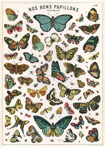 Cavallini & Co. Butterfly Chart Decorative Wrap