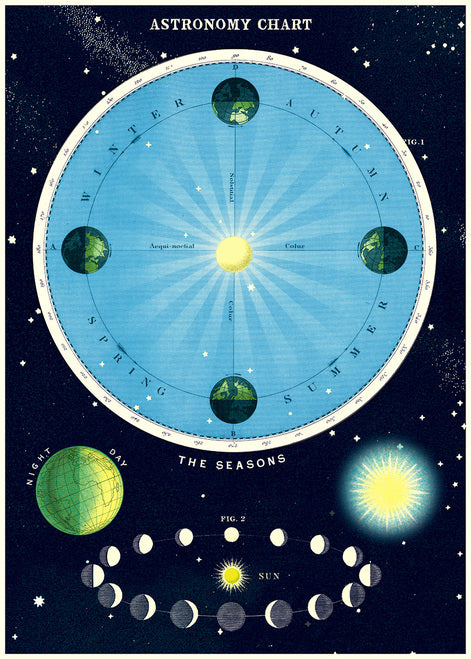 Cavallini & Co. Astronomy Chart Decorative Paper