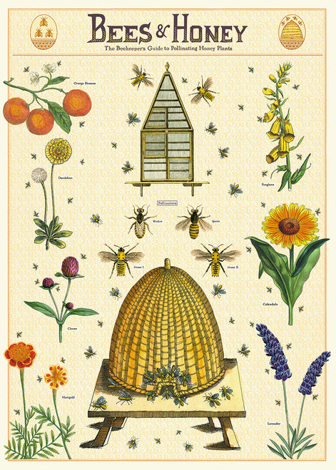Cavallini & Co. Bees & Honey No. 2 Decorative Paper