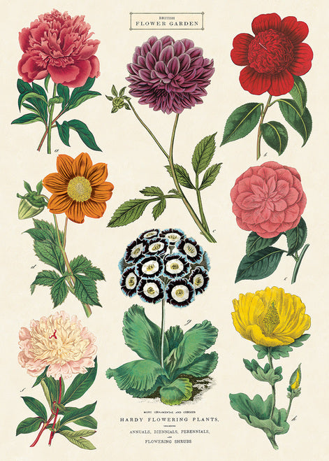 Cavallini & Co. Botanica No. 2 Decorative Paper