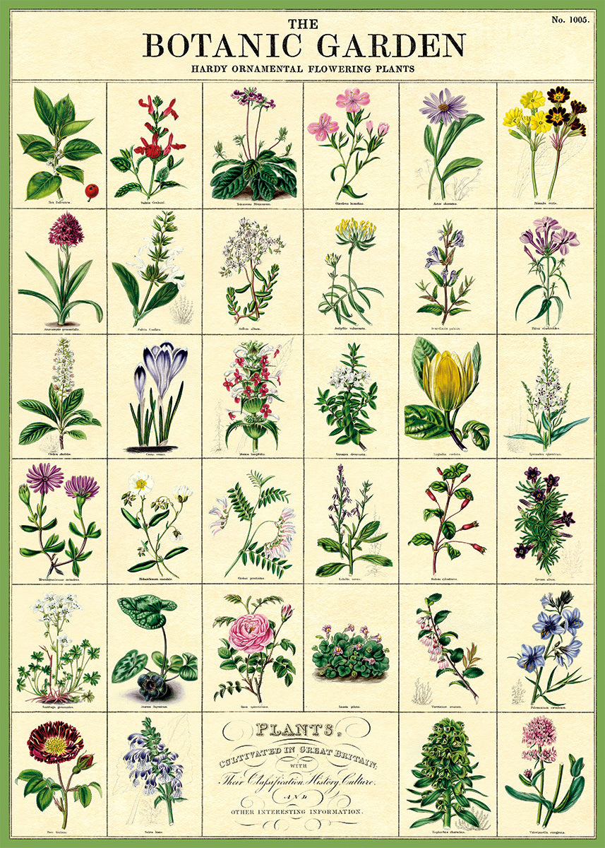 Cavallini & Co. Botanic Garden features images arranged in a grid pattern, with scientific names below each one. Use it for wrapping a gift, as a poster, or frame it for a beautiful print.