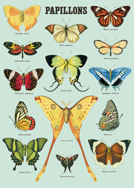 Cavallini & Co. Papillons Decorative Paper