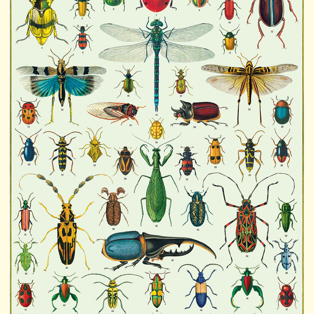 Design Insects Kaplan Cavallini & Co. Bugs & Insects Decorative Paper — Two Hands Paperie