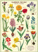 Cavallini & CO. Garden Bulbs Decorative Paper