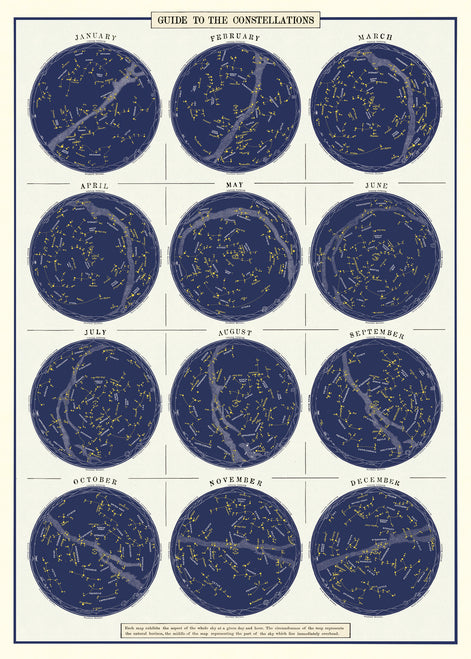 Cavallini & Co. Constellations Decorative Paper