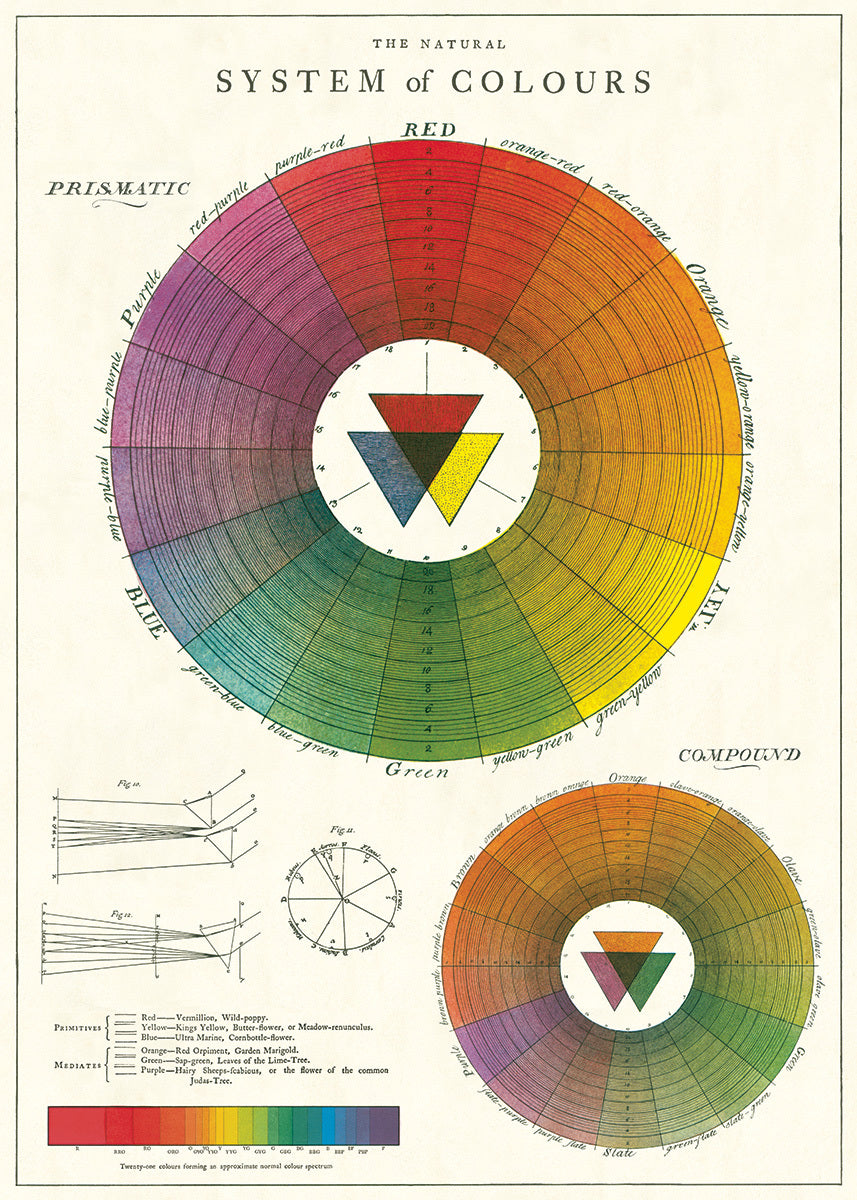 Cavallini & Co. Color Wheel Decorative Paper — Two Hands Paperie