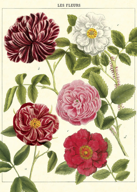 Cavallini & Co. Les Fleurs Decorative Paper