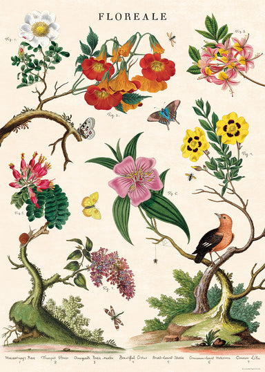 Cavallini & Co. Floreale  Decorative Paper