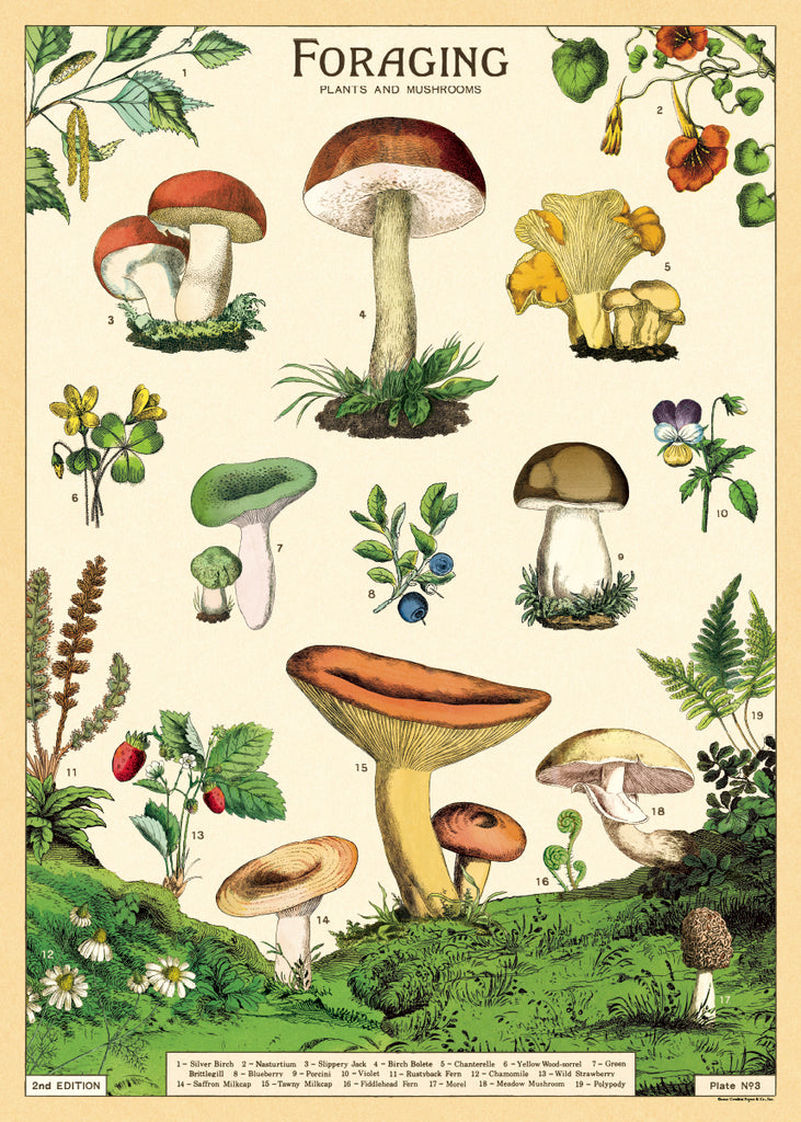 Wrapping paper - Mushroom Meadow