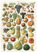 Cavallini & Co. Fruit Chart is the perfect wrap for any gardener, or anyone who is a fan of vintage botanical images.