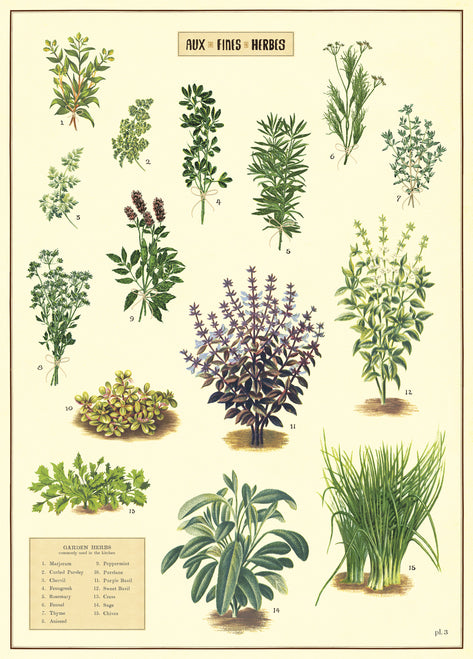 Cavallini & Co. Kitchen Herbs Decorative Paper