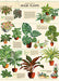 New for 2020- House Plants decorative wrap. This is a truly multi-functional wrap. The poster is a guide to growing, with general instructions on hanging plants, fertilizers, soil, temperatures, and pruning.