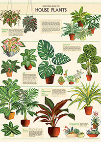 Cavallini & Co. House Plants Decorative Paper